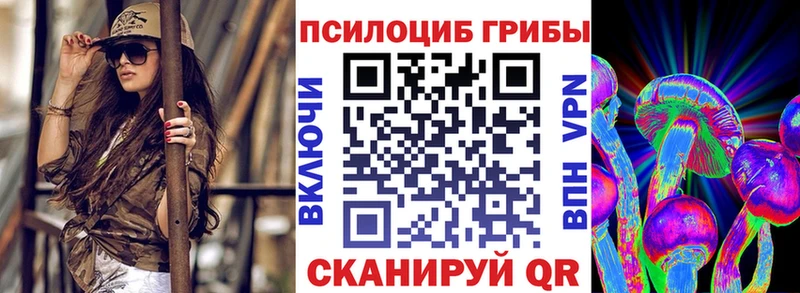 MEGA ТОР  Переславль-Залесский  Галлюциногенные грибы GOLDEN TEACHER 